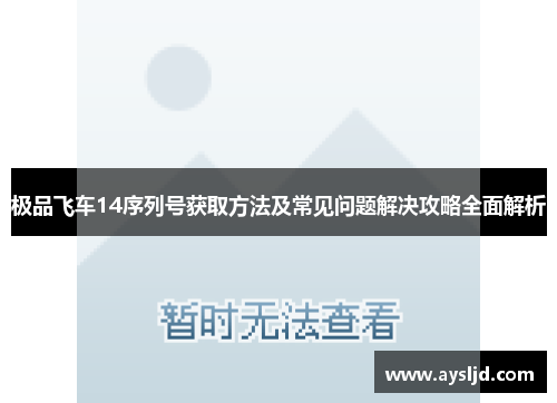 极品飞车14序列号获取方法及常见问题解决攻略全面解析