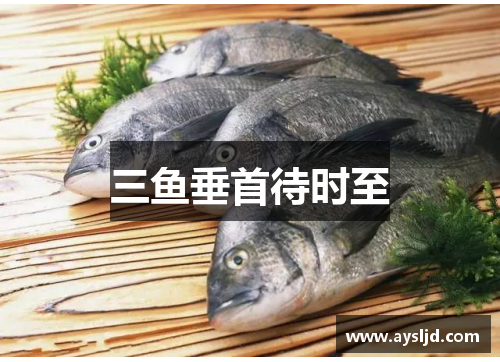 三鱼垂首待时至